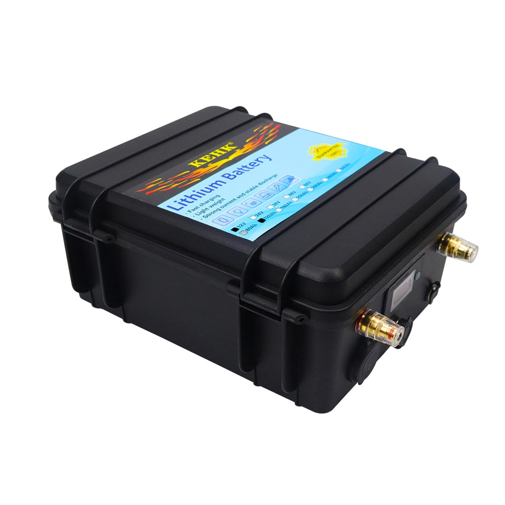 Lithium Iron Phosphate Rechargeable Battery Bulit-in BMS